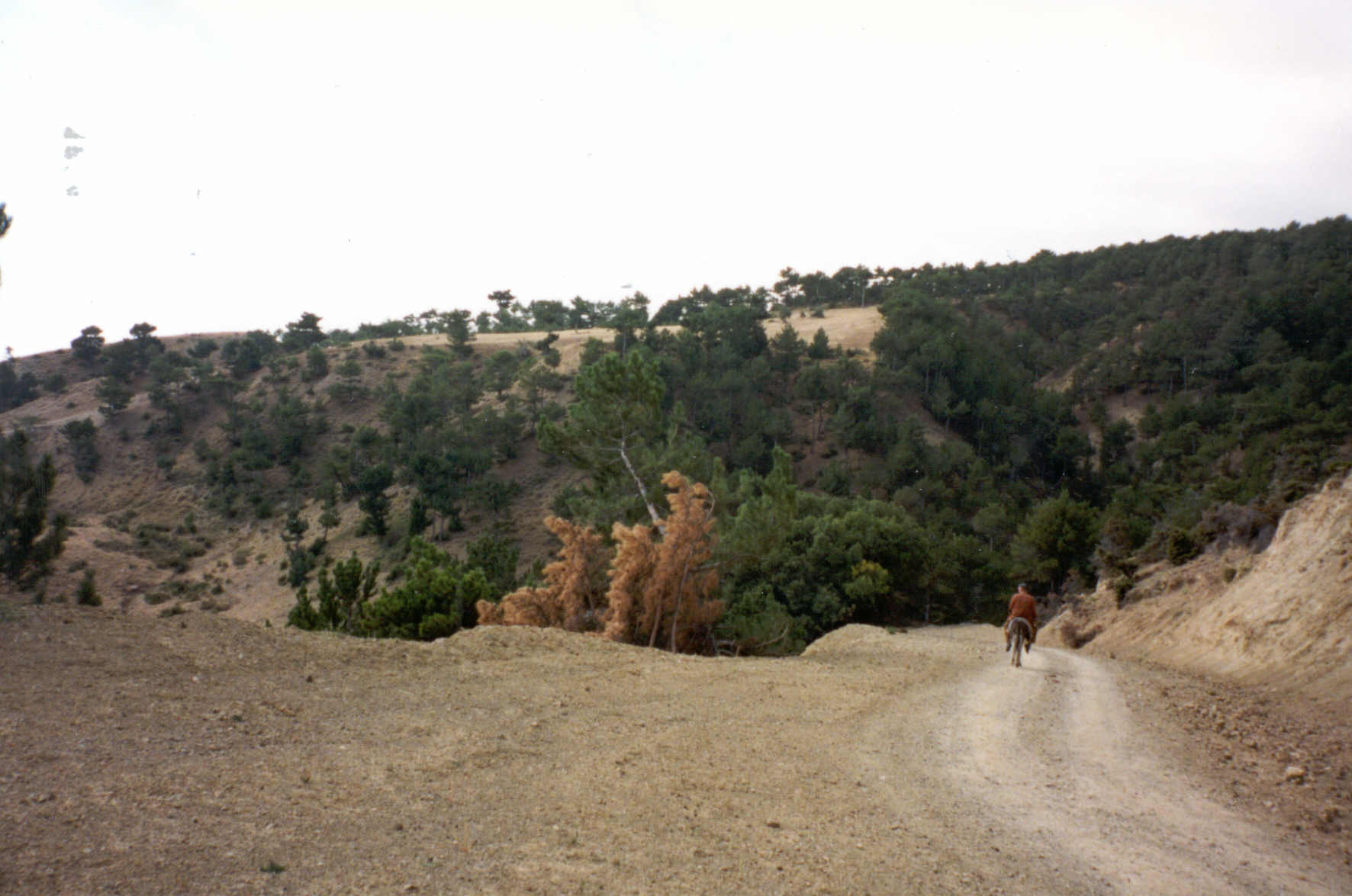 Tracks near Çankiri