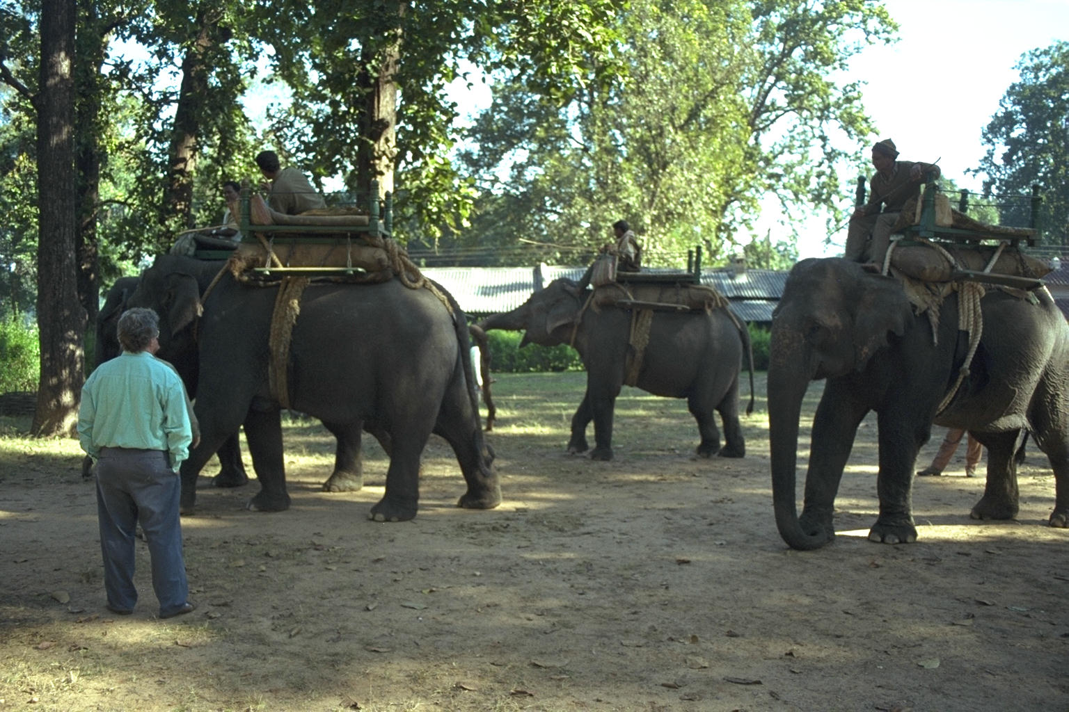 Elephants in the Wild Chalet Resort