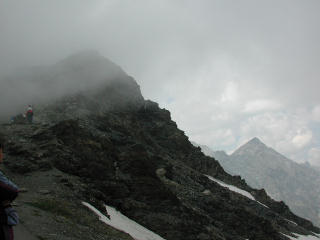 Alpenweertje