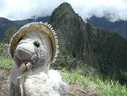 Piep was ook in Machupicchu