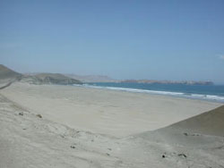 Woestijn tot aan het strand