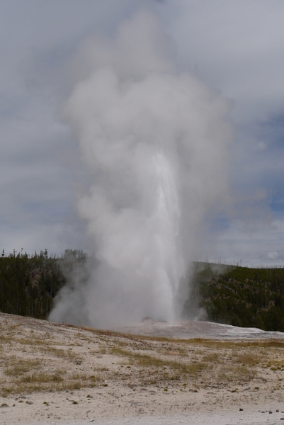 Old Faithful, Yellowstone