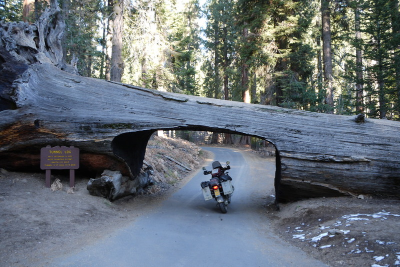 Sequoia National Park