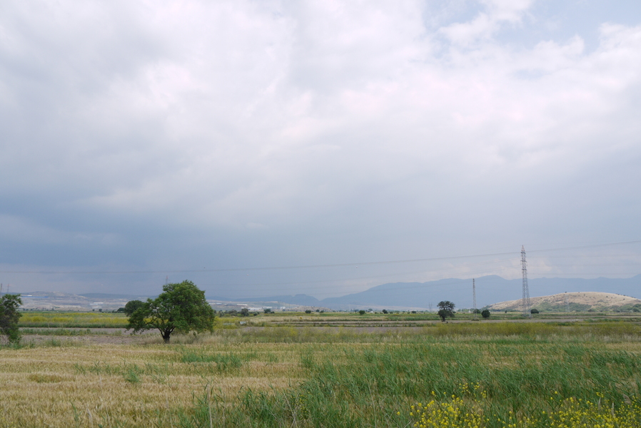 20120526_153133.jpg