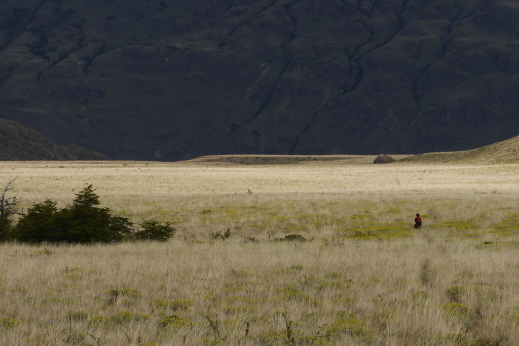 Isabelle in huge meadow