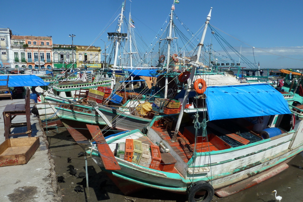 Fishing port of Belém