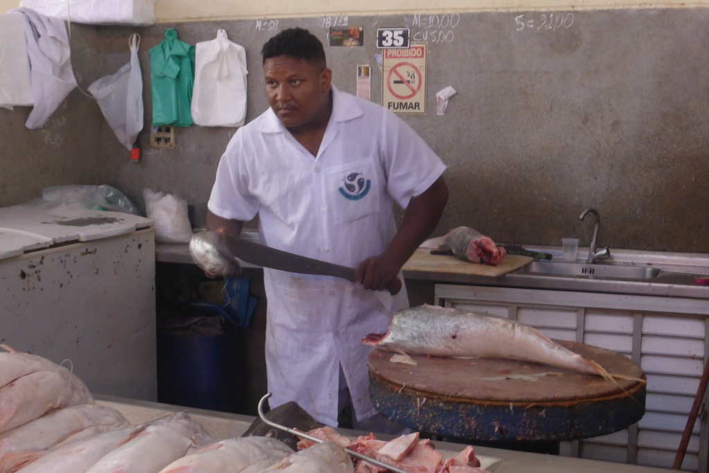 Filleting fish with a machete