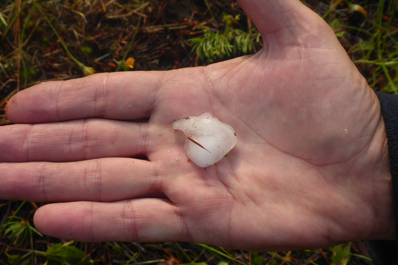 Large hailstones